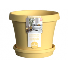 Yellow Super Pot & Saucer Set                                        